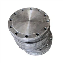 দ্বৈত স্টিল flanges